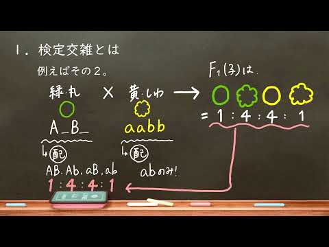 遺伝子型について詳しく解説