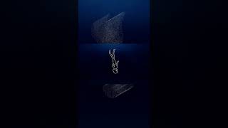 後悔はしていない　していないと思いたい #手描きアニメ