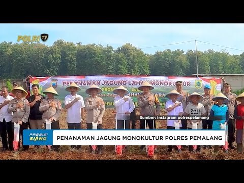 PENANAMAN JAGUNG MONOKULTUR POLRES PEMALANG