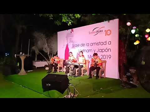 download lagu mp3 mp4 Mimosa Heart, download lagu Mimosa Heart gratis, unduh video klip Mimosa Heart