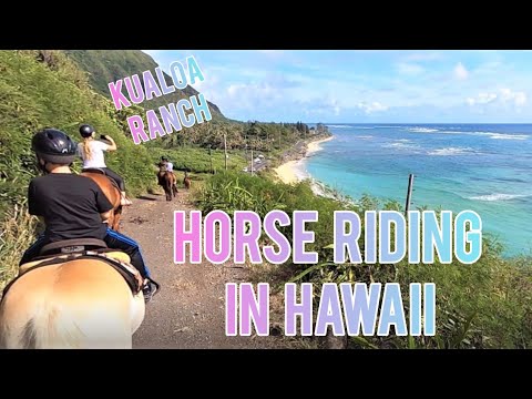 YouTube video about: Are there horses in hawaii?