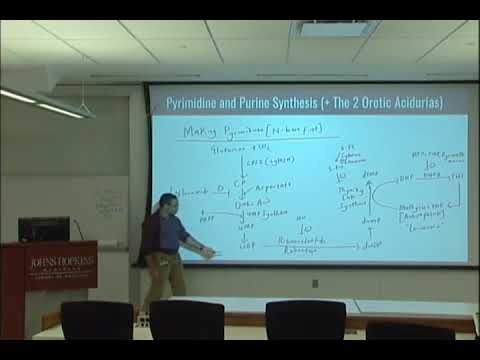 Divine Intervention Episode 50 Comprehensive USMLE Biochemistry Session 1