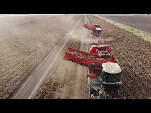 Dewulf R3060 Potato Harvesters