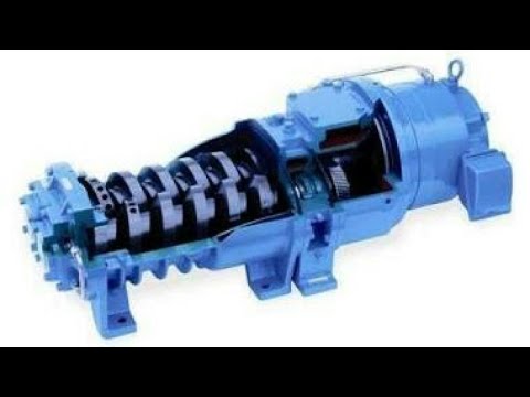 Dry screw vacuum pump working