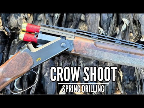 CROW SHOOTING ON SPRING DRILLING | PEST CONTROL | CROP PROTECTION