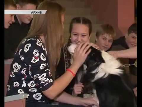 Курский цирк провел благотворительные представления для детей, находящихся в трудной жизненной ситуации