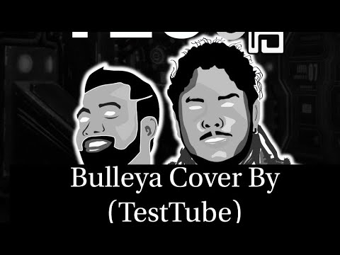 Bulleya Pritam Chakraborty/Amit mishra (cover by danushka Pradeep joseph)