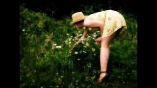 Alan Parsons - What Goes Up - With Lyric