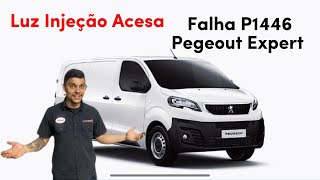 Significado do erro p1446 Citroen