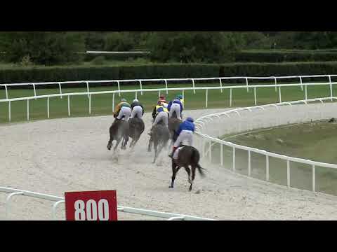 2020.08.16. 02. futam - NYERETLENEK VERSENYE (V.kat.) (szintetikus pálya)