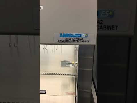 Jose Cruz ASHP Sterile Compounding: Activity 4, aseptic technique in vertical LAFW 4/2018