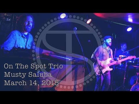 On The Spot Trio: Musty Saluba [4K] 2015-03-14 - New Haven, CT