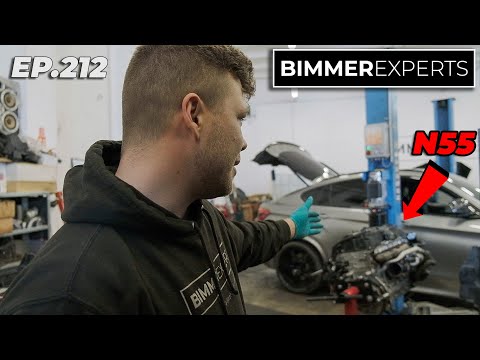 Bimmer Experts, Ep.212 -  BMW N55 motor problémák / Szakadt Hardy tárcsa 20.000 km után?
