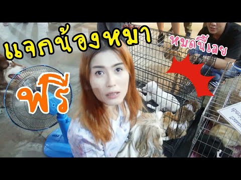 Despres และความแข็งแรง พลังงานและความแข็งแรงในผู้ชาย