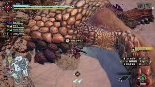 [MH]奇々怪々[サンブレイク]