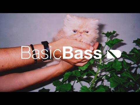 LIZOT - Let me love you Ft. Jason Anousheh