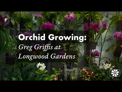 Greg Griffis: Orchid Grower at Longwood Gardens