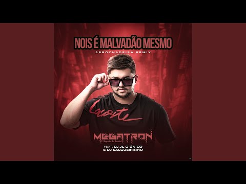 Nois É Malvadão Mesmo (feat. Dj JL O Único & Dj Salgueirinho)