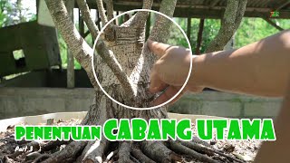 Download lagu MENENTUKAN CABANG 1,2,3 DAN 4 PADA AWAL PROGRAM mp3 Download lagu MENENTUKAN CABANG 1,2,3 DAN 4 PADA AWAL PROGRAM mp3