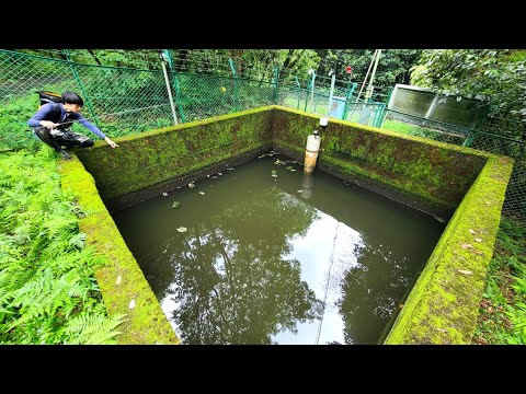 世界中で地下水が失われつつある:研究者たちは地下水の保存方法を知っている