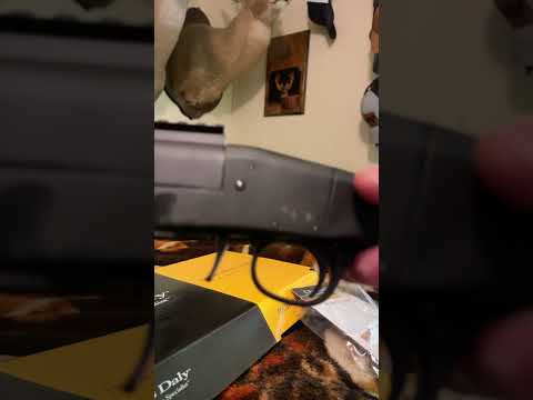 CHARLES DALY 601 Semi-Automatic Shotgun FIRST SHOT Review