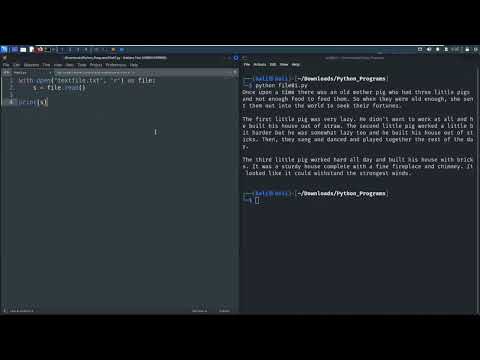 Replace Word Python Leisure Codes