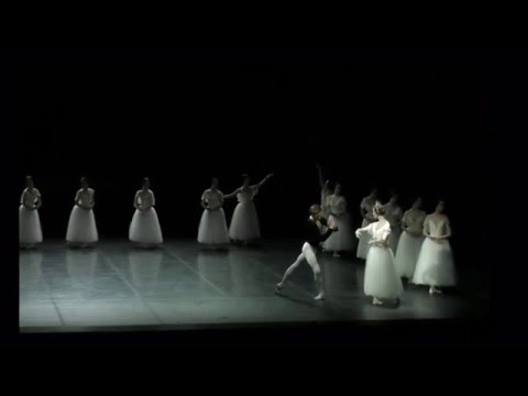 Friedemann Vogel  Giselle variation 2.act