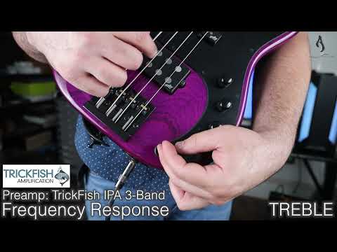 AnkaCustom - Prince DX with Trickfish IPA Preamp Demo