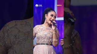 Download lagu Impian Kalbu Anisa Rahma ft  Fendik Adella CHGB Record part 5 #youtubeshorts #shorts #chgbrecord mp3