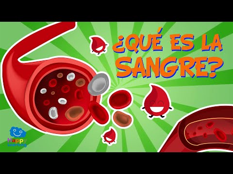 ¿QUÉ ES LA SANGRE? ¿PARA QUÉ SIRVE? 🩸❔ | Vídeos Educativos para Niños