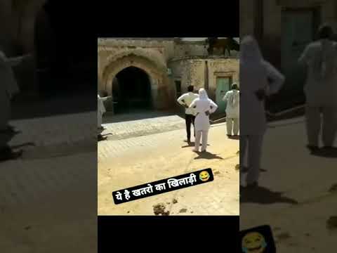 khatron ke Khiladi audition stunt by ox 😂😂😂🐂