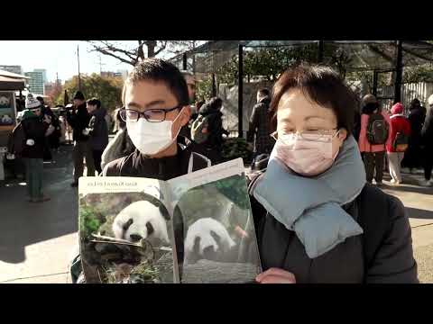 粉絲告別日本最後的貓熊！牠們即將返回中國 | 路透社 (Fans say goodbye to Japan's last pandas before return to China | REUTERS)
