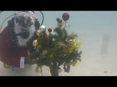 بابا نويل في أعماق البحر الأحمر للاحتفال بالكريسماس بالغردقة