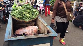 Download lagu Traditional market indemorning mp3 Download lagu Traditional market indemorning mp3
