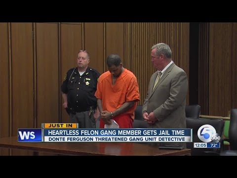 Heartless Felons gang leader sentenced