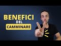 I 6 Benefici Del Camminare In Natura