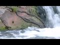 Manithanukku Mudumalai Forest Videos