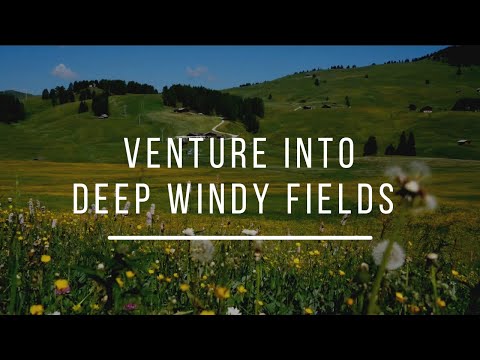 Calmig Wind Sounds | Sleep Sound, Meditation, Nature, Fields, Relaxing, Calming, Soothing, Winds