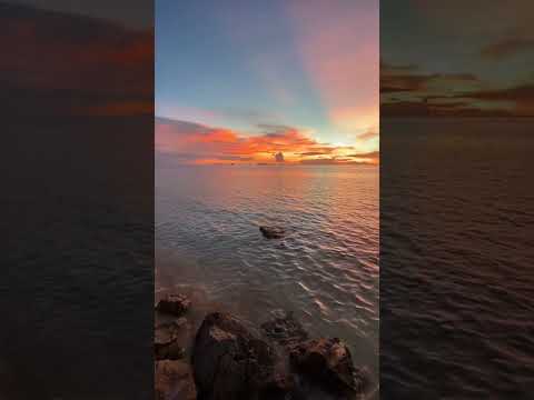 Shear Gates | Whipps, Inc.