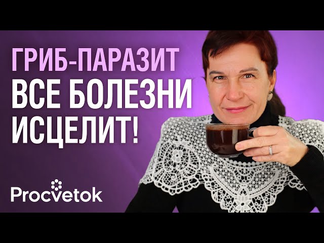 ЧАГА, ИЛИ ГРИБ БЕССМЕРТИЯ! Как употреблять с пользой для здоровья
