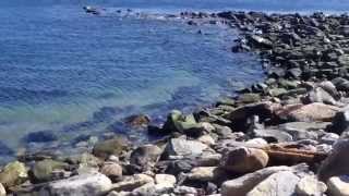 preview picture of video 'Striper Fishing Narragansett RI Seawall Surf Casting Locations South County RI'