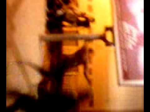 dome della germania a chiaravalle