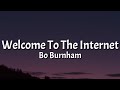 Bo Burnham Welcome To The Internet Lyrics TikTok Song
