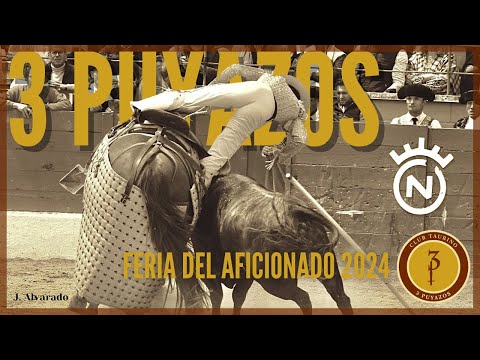 Feria del Aficionado 3 Puyazos 2024