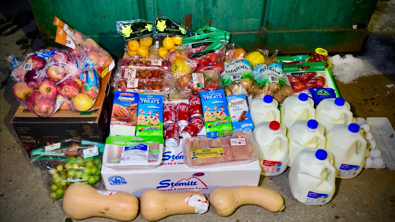 Dumpster Diving Aldi #87 Free Grocery Shopping!