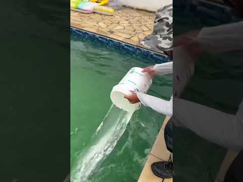 Green Pool Treatment #shorts #short