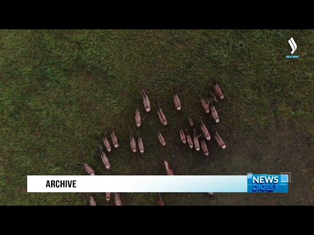 Казахстан впервые вошел в рейтинг ТОП-100 самых экологичных мест земли