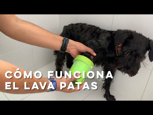 Vídeo relacionado con Dexas - Limpiador portátil de Patas de Perro MudBuster