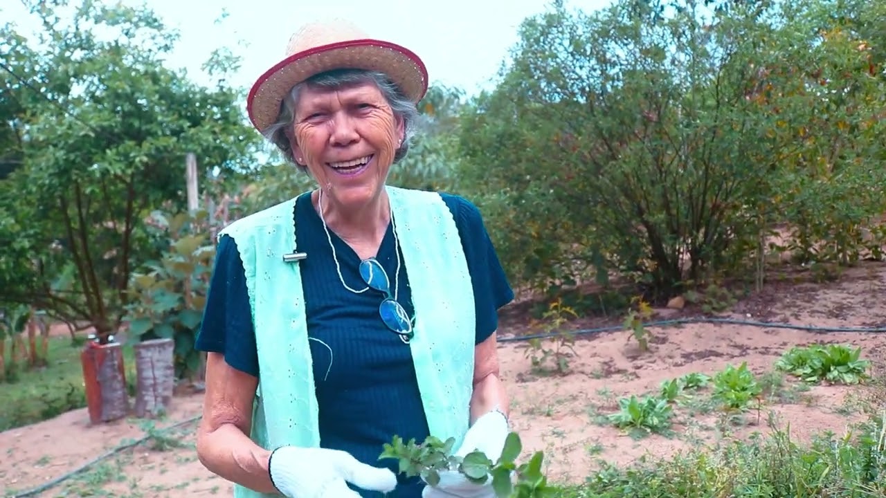 DESPARASITAÇÃO NATURAL | ACABE COM VERMES E LOMBRIGAS - RECEITA NATURAL