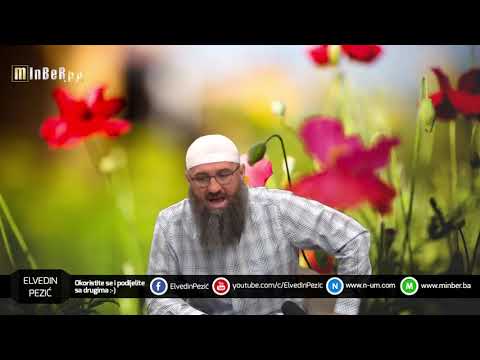 Propis nur dove - mr.Elvedin Pezić